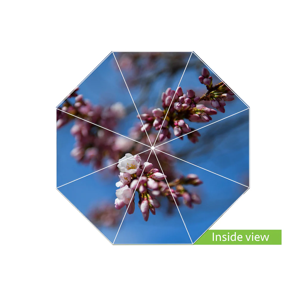 Cherry Blossom Umbrella - Image 2